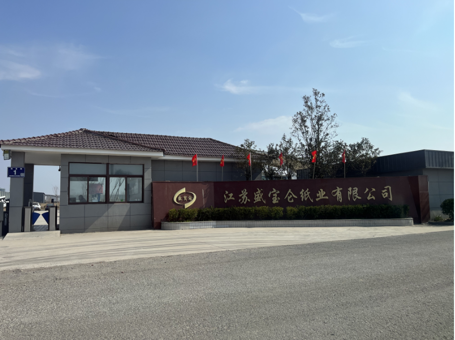 江苏盛宝仑纸业ZDMS0.6/10S消防