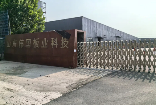 山东伟国板业科技项目